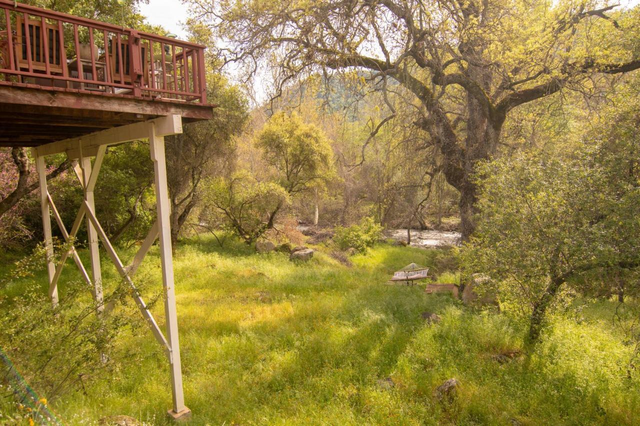 Sequoia South Fork Retreat Villa Three Rivers Exteriör bild